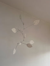 Sorrel Kinetic Mobile