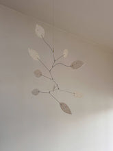 Sorrel Kinetic Mobile